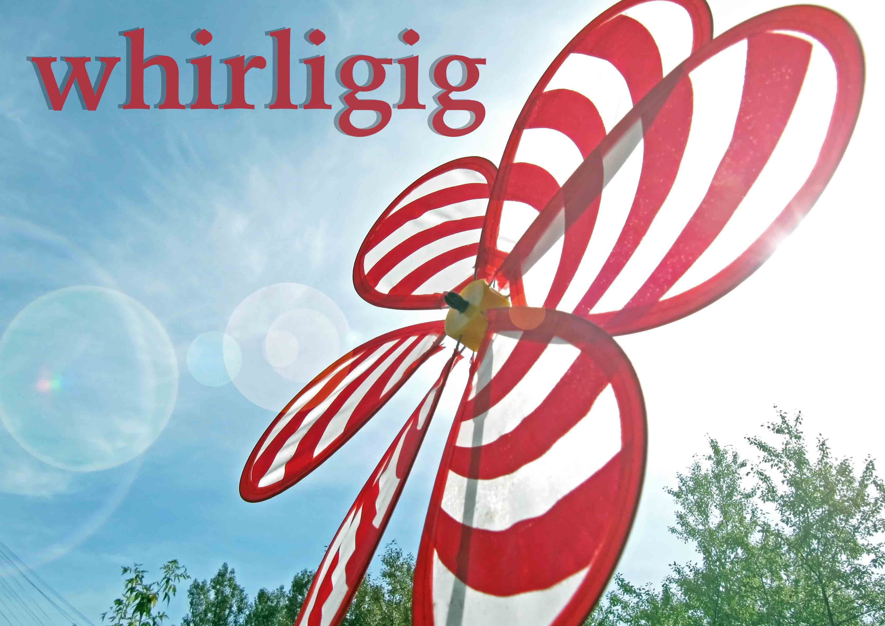 whirligig