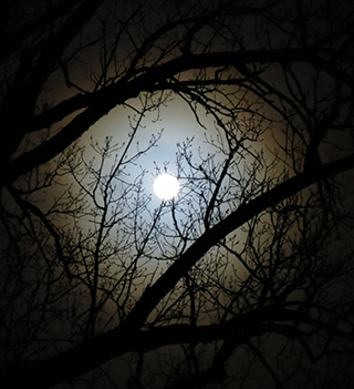 photograph of the snow moon